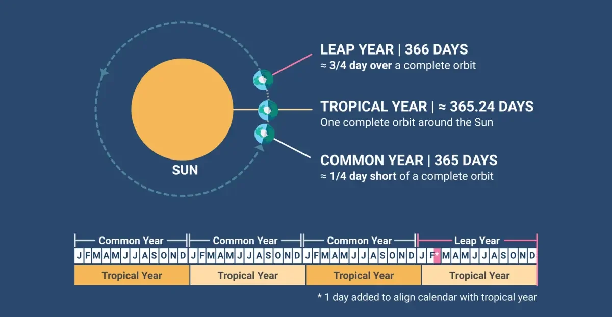 A leap year calendar showing February 29 highlighted in red.