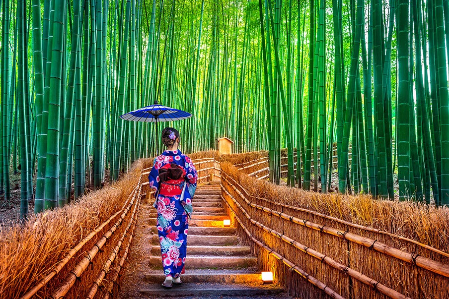 A serene pathway winding through the towering bamboo shoots of Arashiyama Bamboo Grove, symbolizing tranquility and strength.