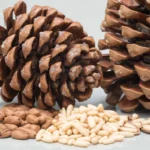 Pine Nuts