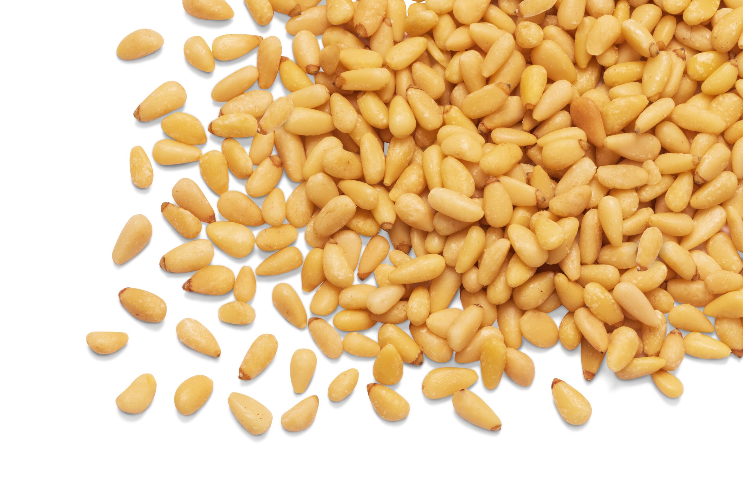 Pine Nuts