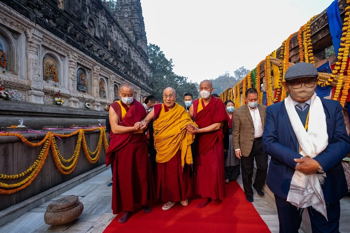 The sacred Bodhi Tree standing tall within the Mahabodhi Temple Complex, symbolizing enlightenment and spiritual awakening.