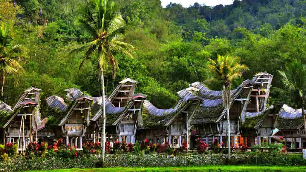 tana-toraja-menelusuri-budaya-tradisi