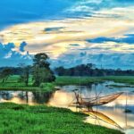 A serene view of Majuli's lush green fields and rivers