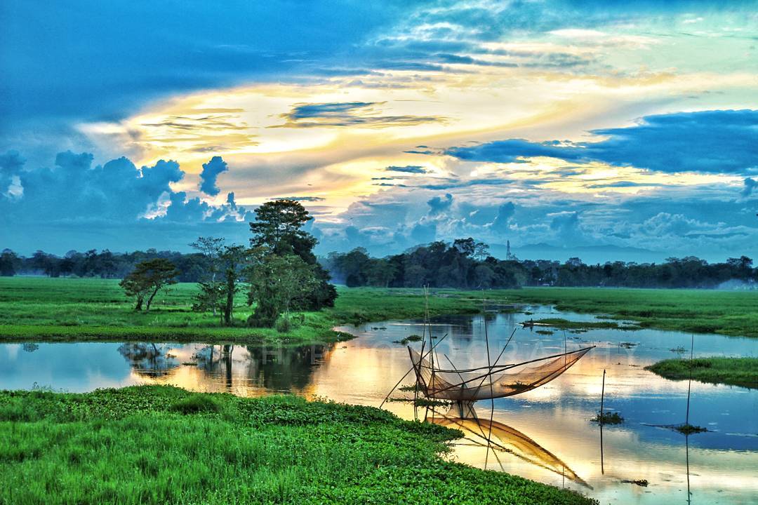 A serene view of Majuli's lush green fields and rivers