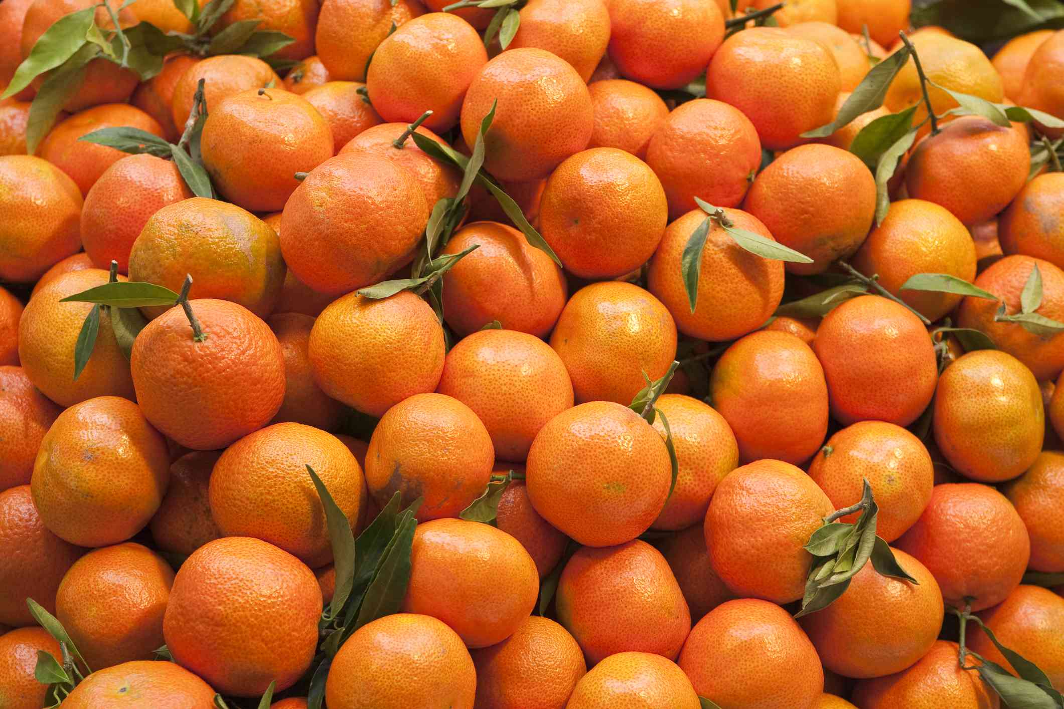 A vibrant salad topped with orange segments and avocado. 