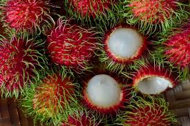 Exotic Fruits