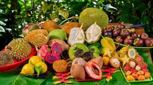 Exotic Fruits