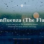 The Flu