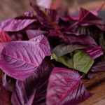 Google-Sheets.item_.jsonIMAGE-NAME-1-4