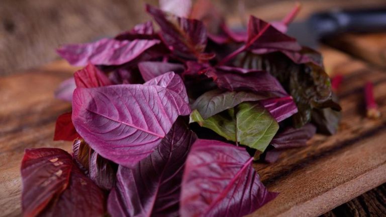 Google-Sheets.item_.jsonIMAGE-NAME-1-4