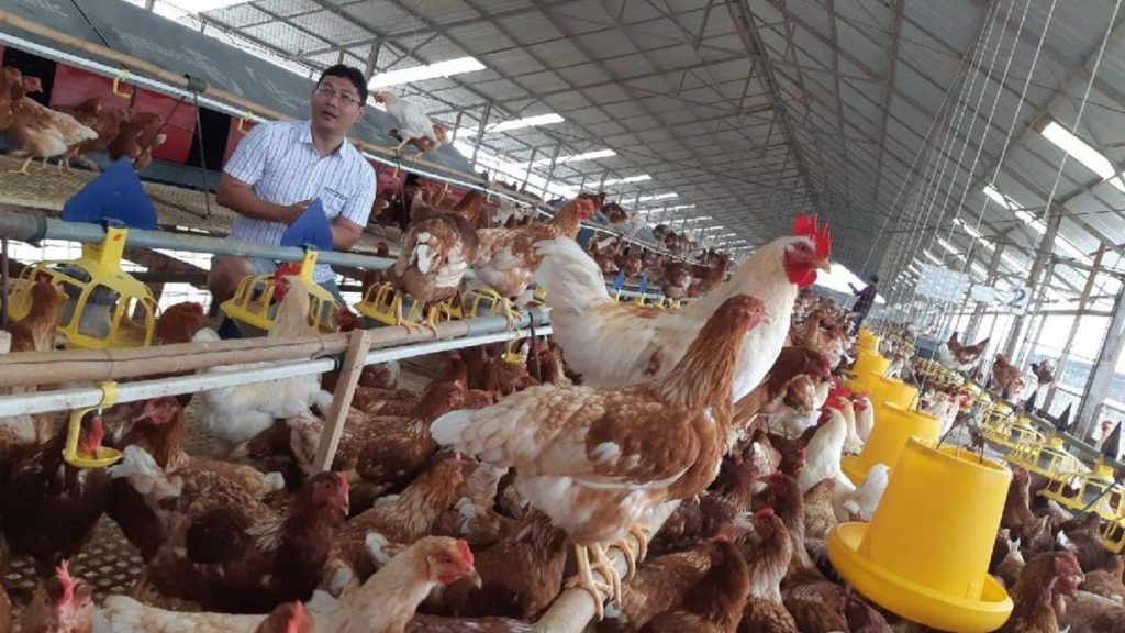 Google-Sheets.item_.jsonIMAGE-NAME-1-7