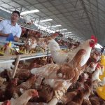 Google-Sheets.item_.jsonIMAGE-NAME-1-7