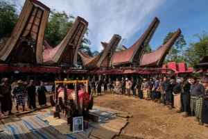 Rambu Solo: Menyelami Tradisi Kematian Penuh Makna dari Toraja 15 Rambu Solo