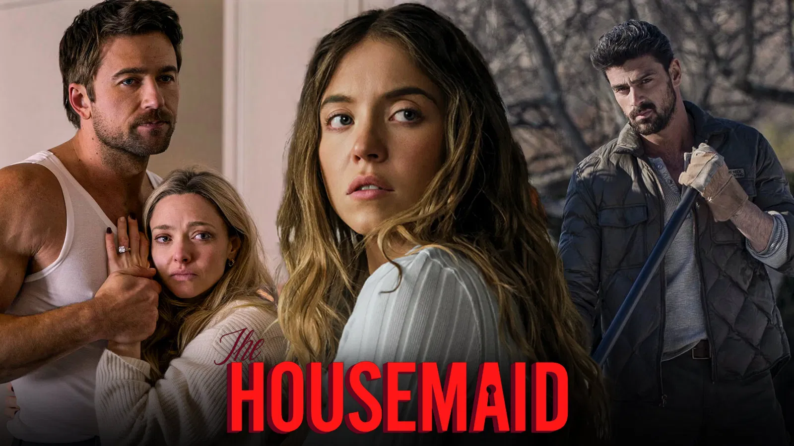 Daya Tarik Cerita The Housemaid