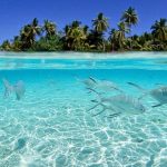 Pulau Morotai