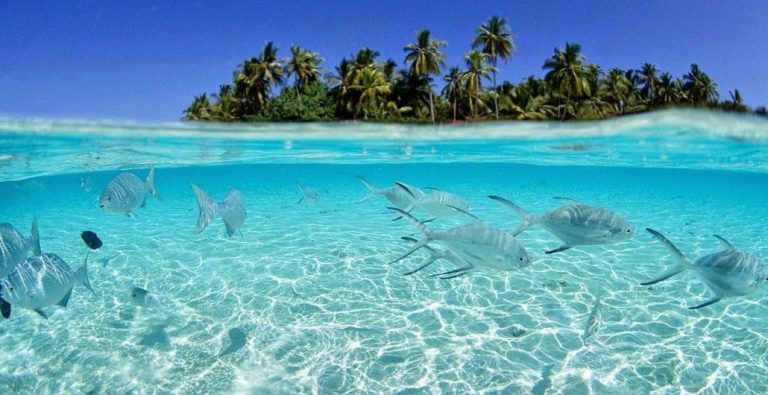 Pulau Morotai yang Menyimpan Cerita, Alam, dan Harapan Baru 1 Pulau Morotai