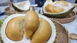 Musim Durian di Bangka