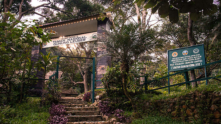 Gunung Leuser Aceh
