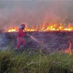 Kebakaran Hutan Kalimantan