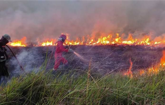 Kebakaran Hutan Kalimantan