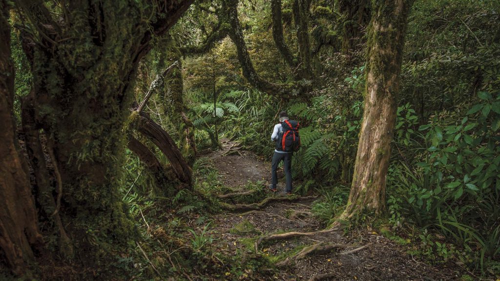 Hiking Gunung Solo