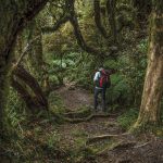 Hiking Gunung Solo
