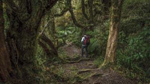 Hiking Gunung Solo