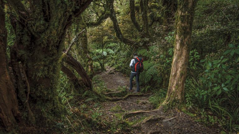 10 Tips Hiking Gunung Solo yang Wajib Dipersiapkan Pemula 1 Hiking Gunung Solo