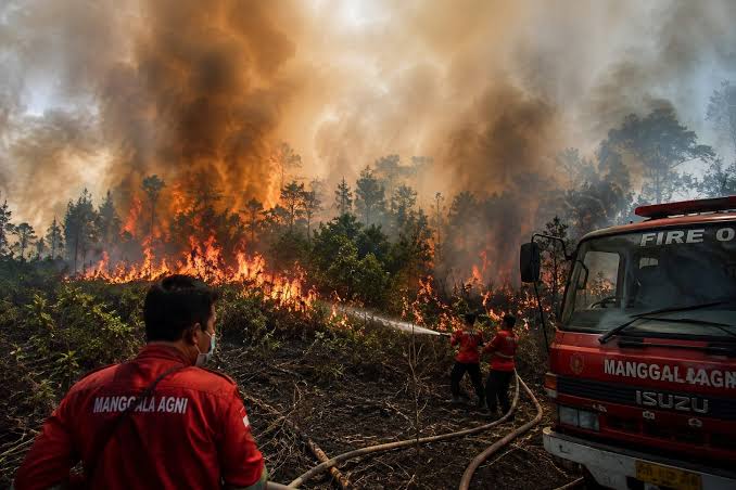 Kebakaran Hutan Kalimantan