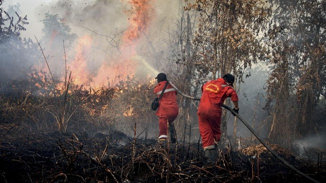 Kebakaran Hutan Kalimantan